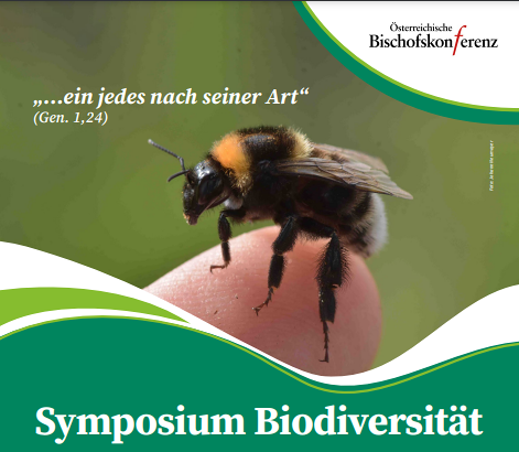 Foto: Johann Neumayer