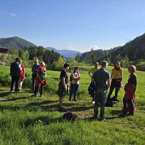 Traditionelle Wallfahrt nach Rein