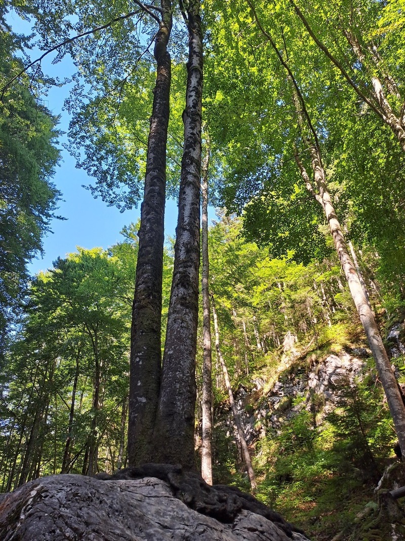 miteinander.wachsen. / Martin Rapp